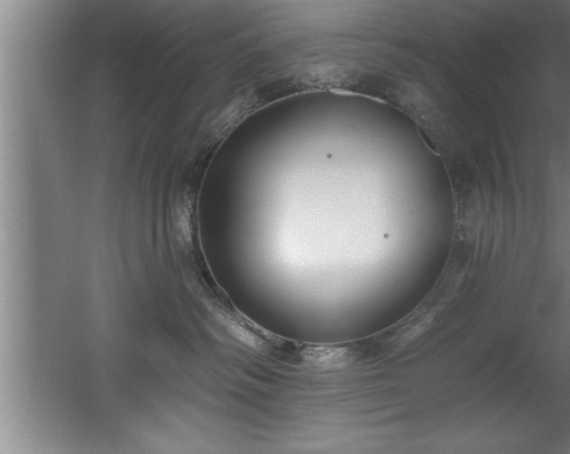 X0000060560334200511070954