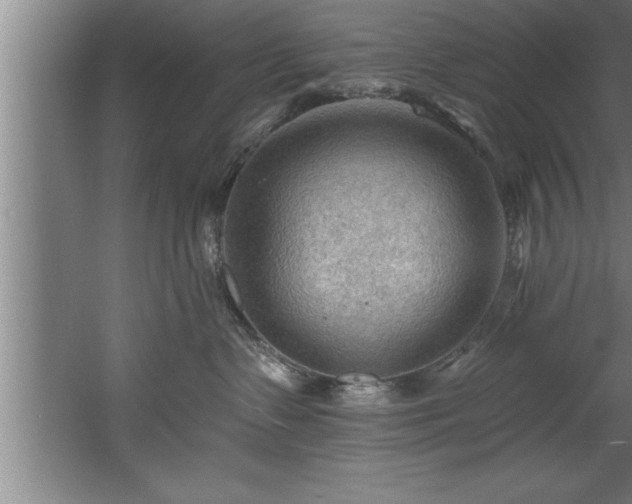 X0000060560335200511070954