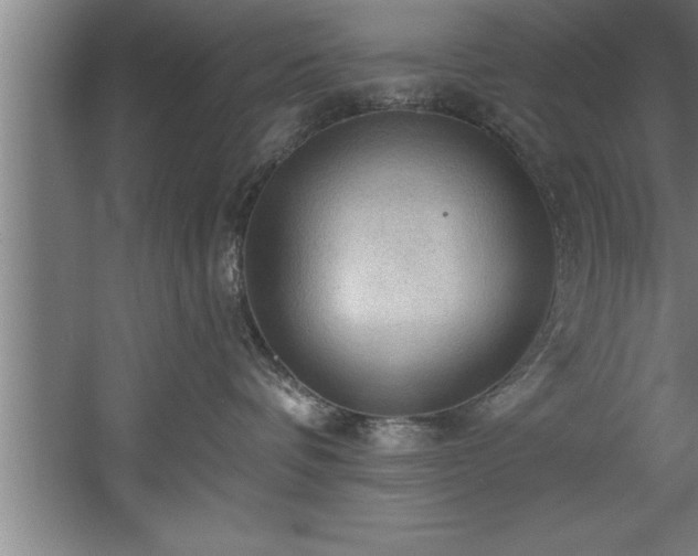 X0000060560336200511070954