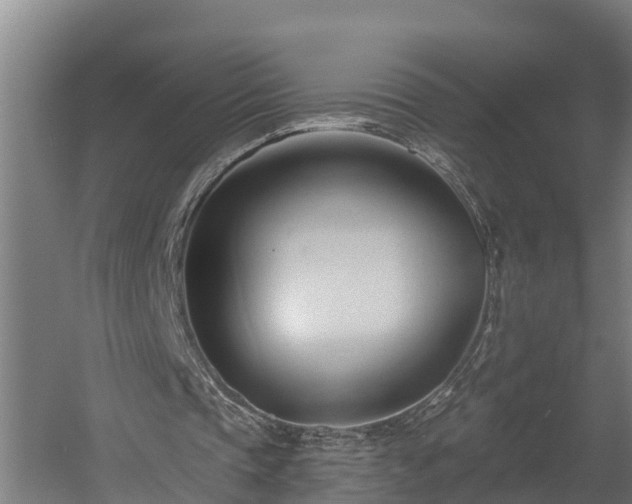 X0000060560337200511070953