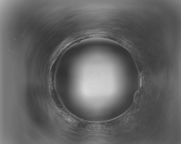 X0000060560339200511070953