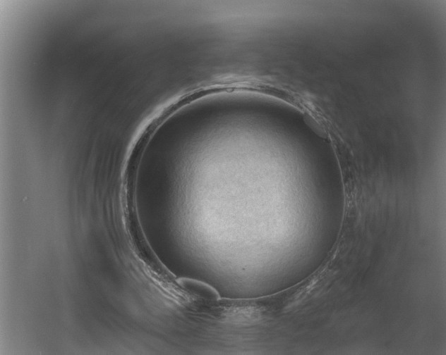 X0000060560342200511070953