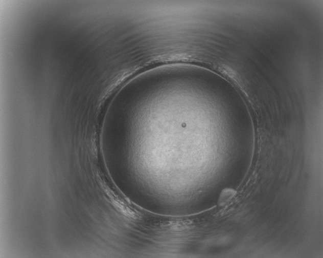 X0000060560345200511070953