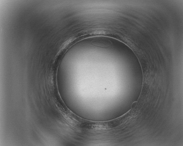 X0000060560347200511070953