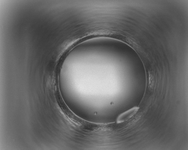 X0000060560348200511070953