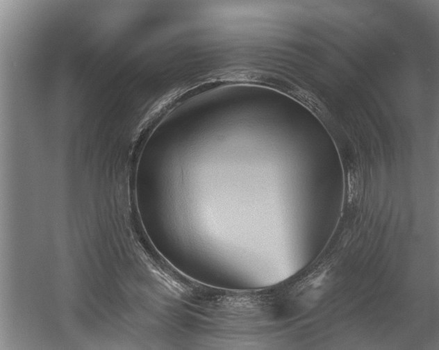 X0000060560349200511070953