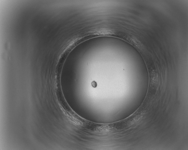 X0000060560351200511070953