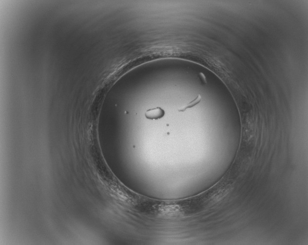 X0000060560355200511070953