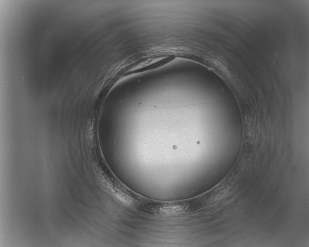 X0000060560357200511070953