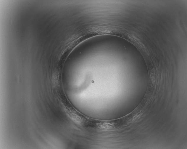 X0000060560359200511070953