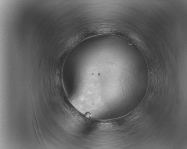 X0000060560361200511070953