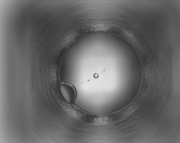 X0000060560362200511070953