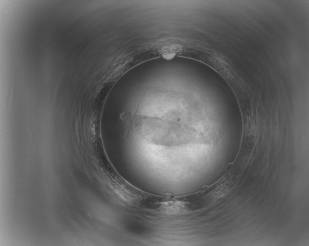 X0000060560363200511070954