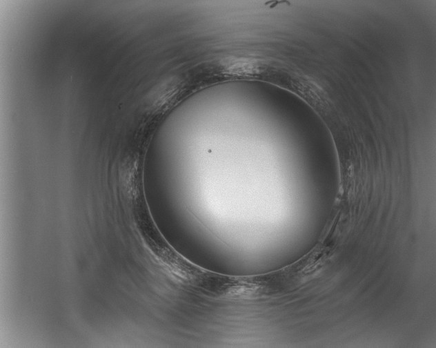 X0000060560364200511070954