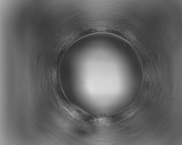 X0000060560365200511070954