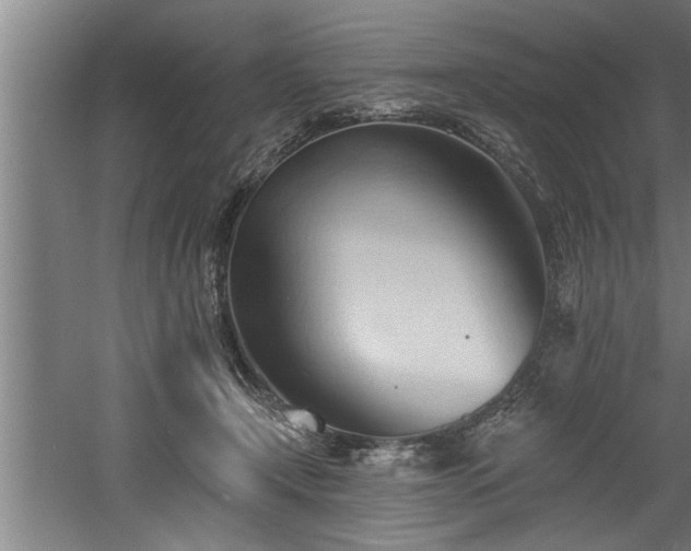 X0000060560366200511070954