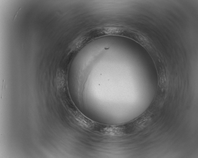 X0000060560367200511070954