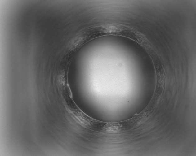 X0000060560368200511070954