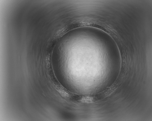 X0000060560369200511070954