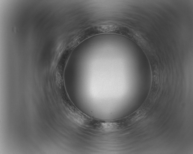 X0000060560371200511070954