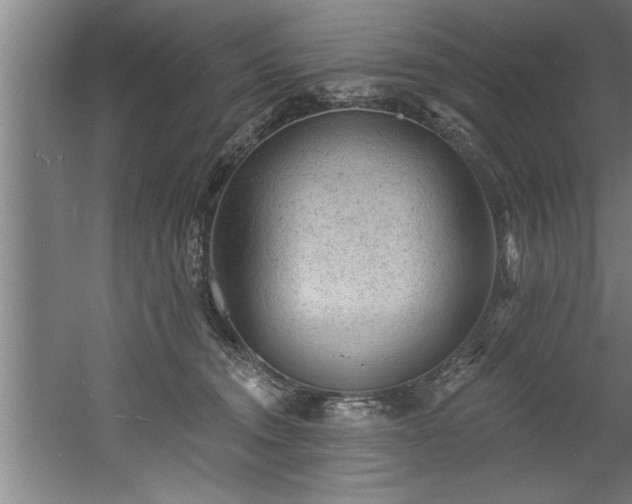 X0000060560372200511070954