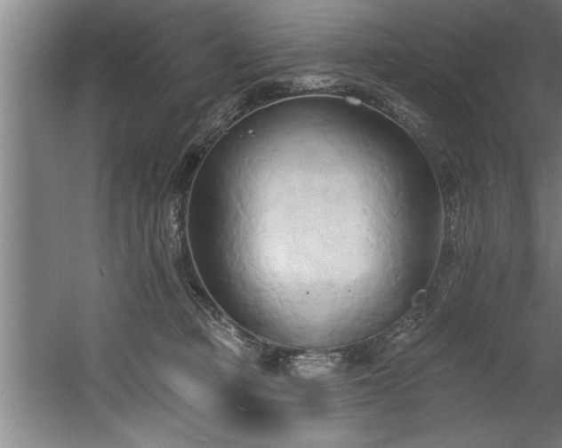 X0000060560373200511070954