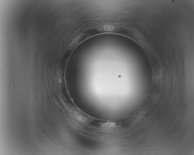 X0000060560374200511070954