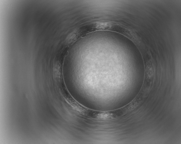 X0000060560375200511070954