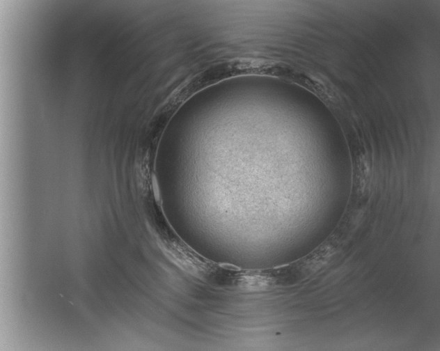 X0000060560376200511070954