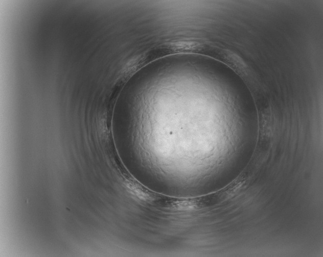 X0000060560377200511070954