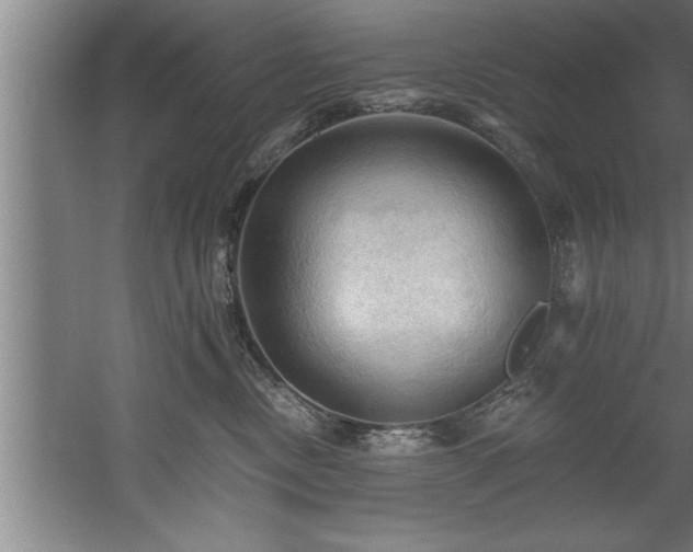 X0000060560378200511070954