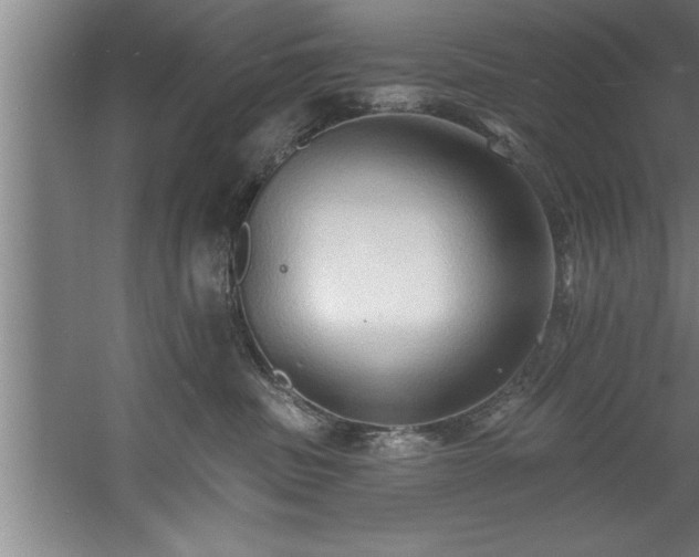 X0000060560379200511070954