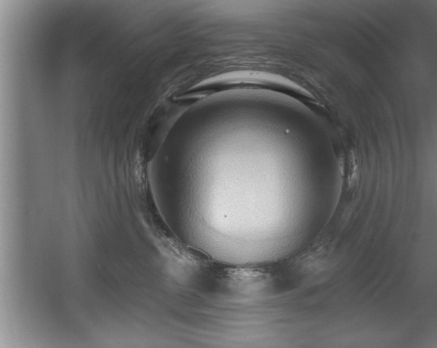 X0000060560380200511070954