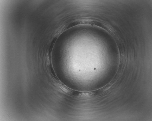 X0000060560381200511070954