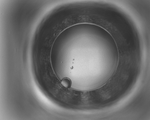 X0000060560382200511070954