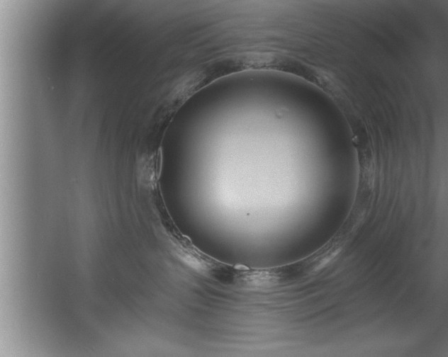 X0000060560383200511070954