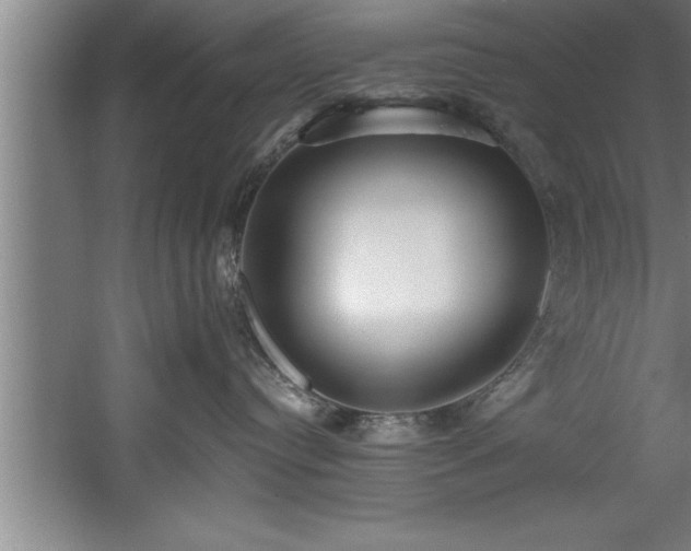 X0000060560384200511070954