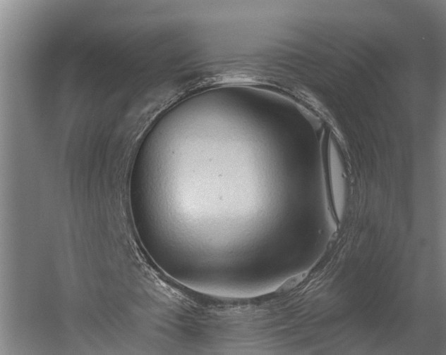 X0000060560385200511070953