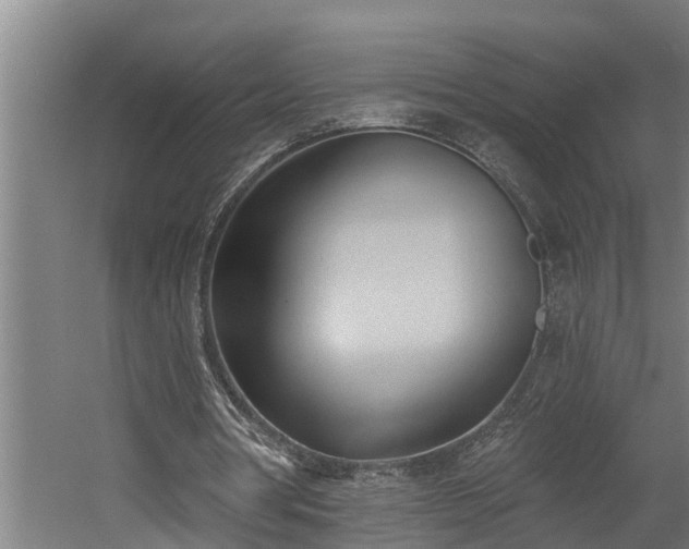 X0000060560386200511070953