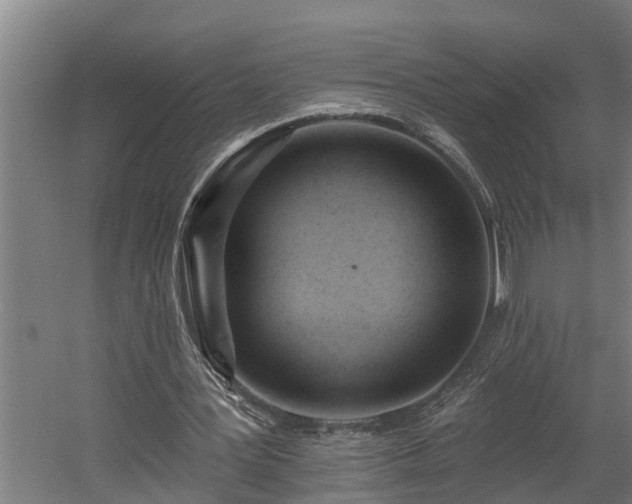 X0000060560387200511070953