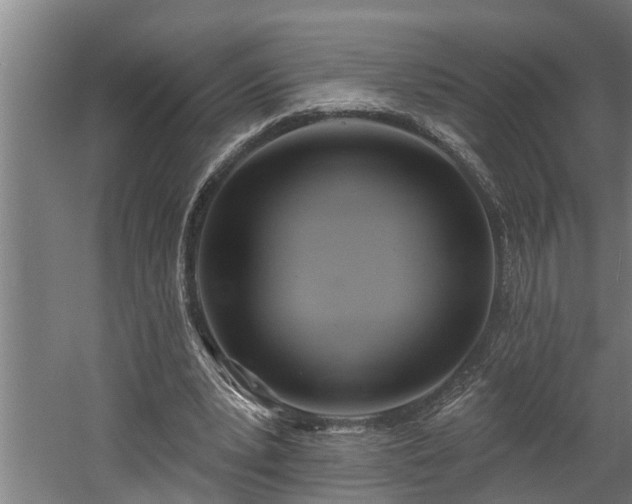 X0000060560391200511070953