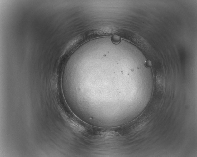 X0000060560396200511070953