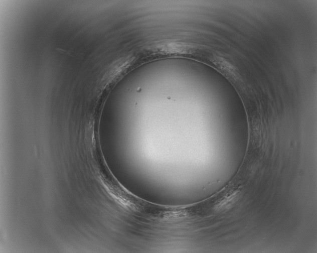 X0000060560398200511070953