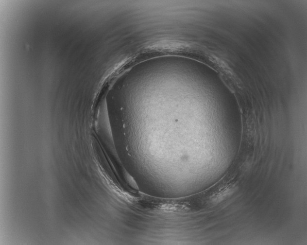 X0000060560399200511070953