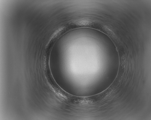 X0000060560400200511070953