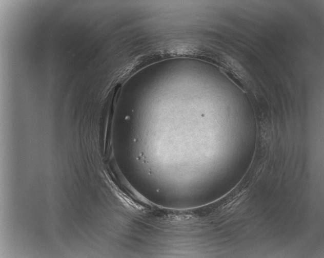 X0000060560401200511070953