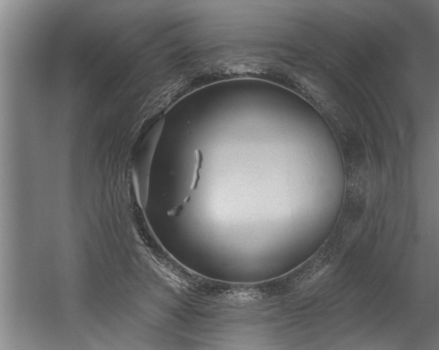 X0000060560402200511070953