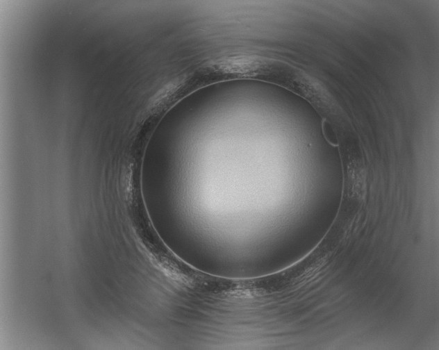 X0000060560404200511070953