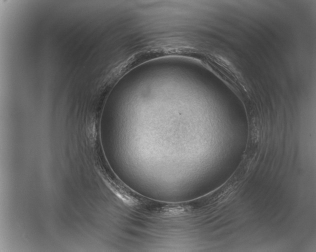 X0000060560405200511070953