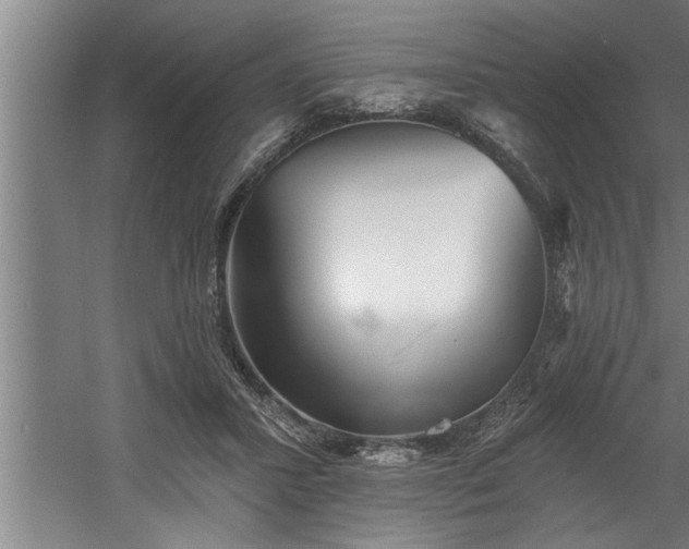 X0000060560407200511070953